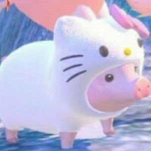 Meet your Posher, Shajkwqllssnnswkkssn